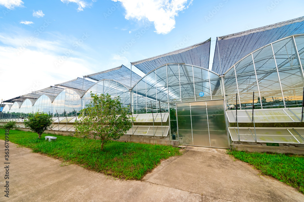 The greenhouse of modern agriculture is under the blue sky and white clouds.