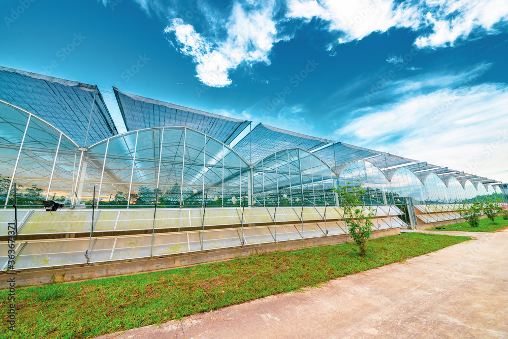 The greenhouse of modern agriculture is under the blue sky and white clouds. The greenhouse of modern agriculture is under the blue sky and white clouds.