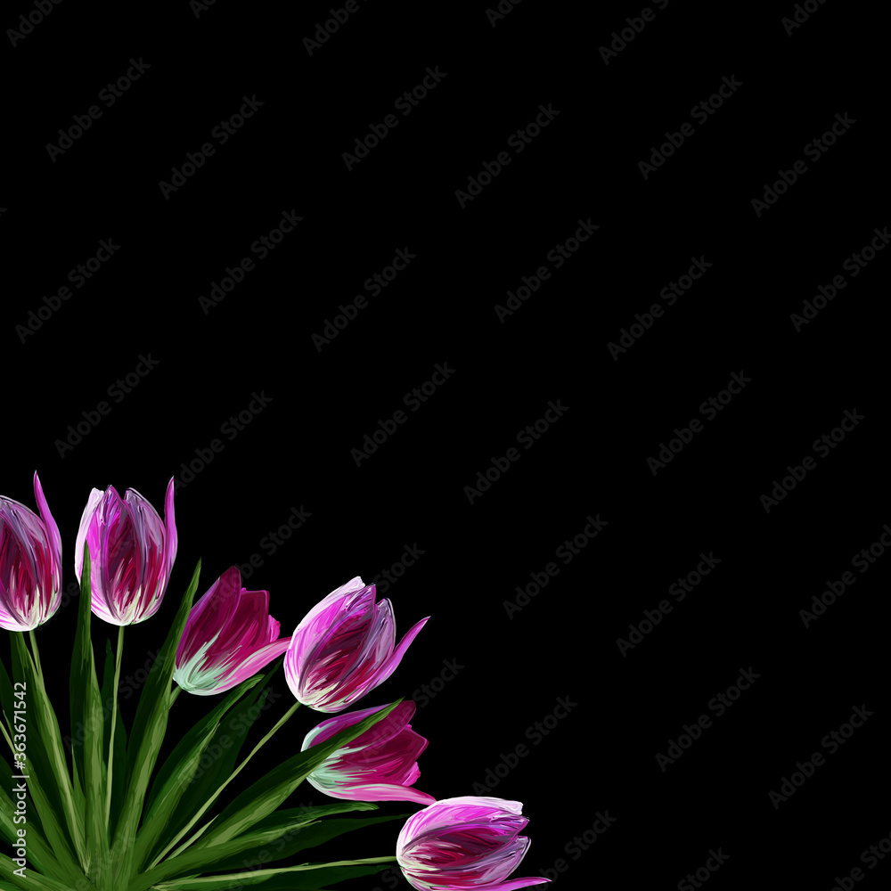 Fototapeta premium Greeting card template with realistic beautiful blooming tulips pink colors, green leaves on black background