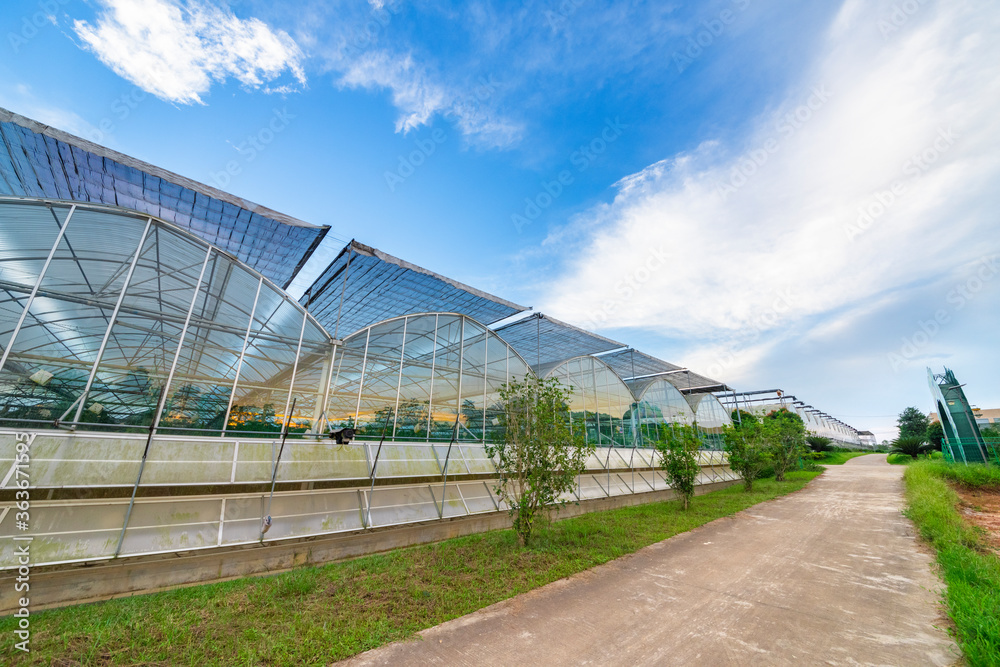 The greenhouse of modern agriculture is under the blue sky and white clouds. The greenhouse of modern agriculture is under the blue sky and white clouds.