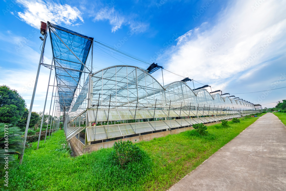 The greenhouse of modern agriculture is under the blue sky and white clouds. The greenhouse of modern agriculture is under the blue sky and white clouds.