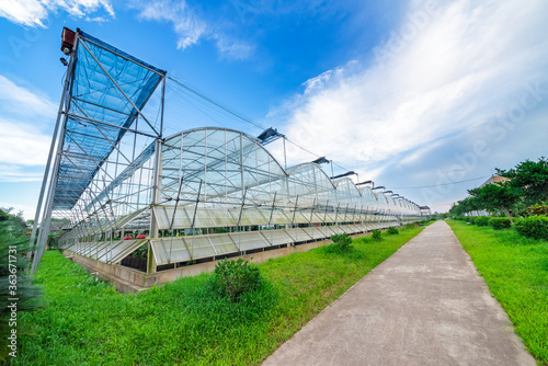 The greenhouse of modern agriculture is under the blue sky and white clouds. © 一飞 黄
