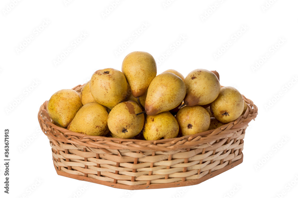 Portuguese pears in wicker basket on isolated white background Portuguese pears in wicker basket on isolated white background