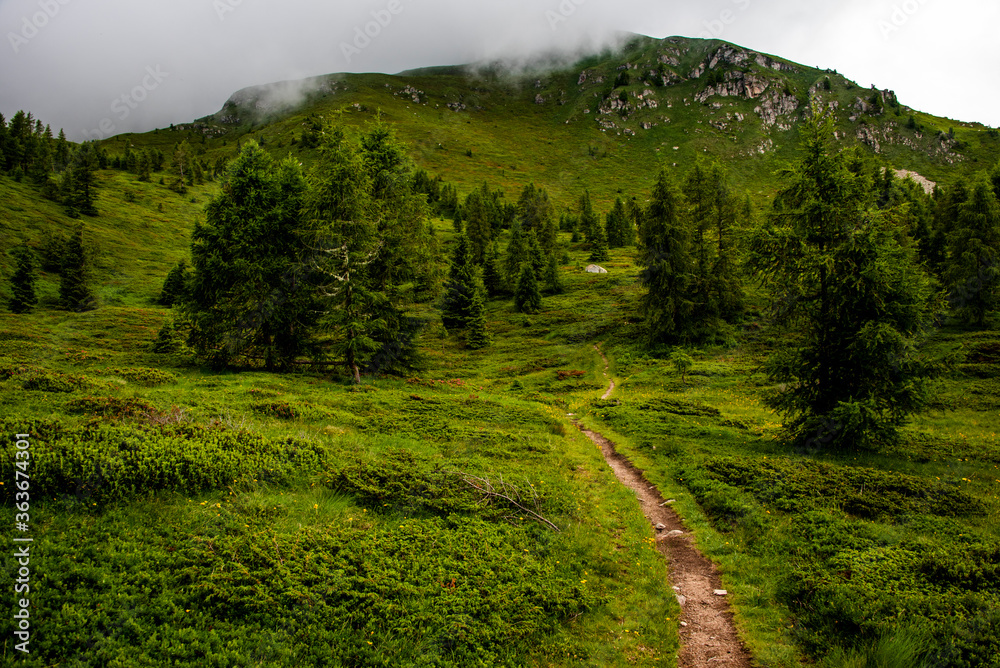 Obraz premium path between the peaks of the Lagorai nine