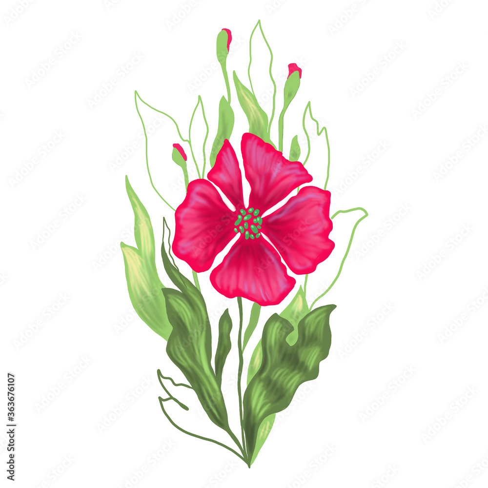 Floral illustration with red poppies on white background.