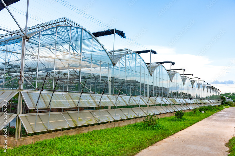 The greenhouse of modern agriculture is under the blue sky and white clouds. The greenhouse of modern agriculture is under the blue sky and white clouds.