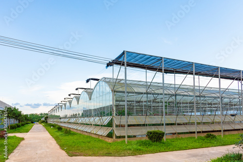 The greenhouse of modern agriculture is under the blue sky and white clouds.