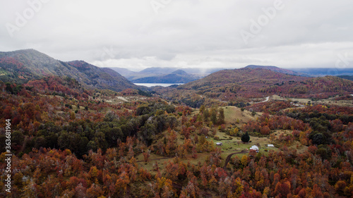 Nature texture. Autumn trees colors. Aerial view of the forest foliage and mountains in autumn. 