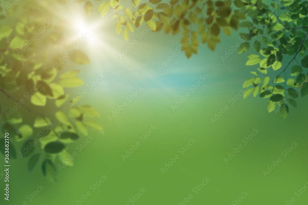 Tree branch with green leaves on sunny day. Summer morning. Tree branch with green leaves on sunny day. Summer morning.
