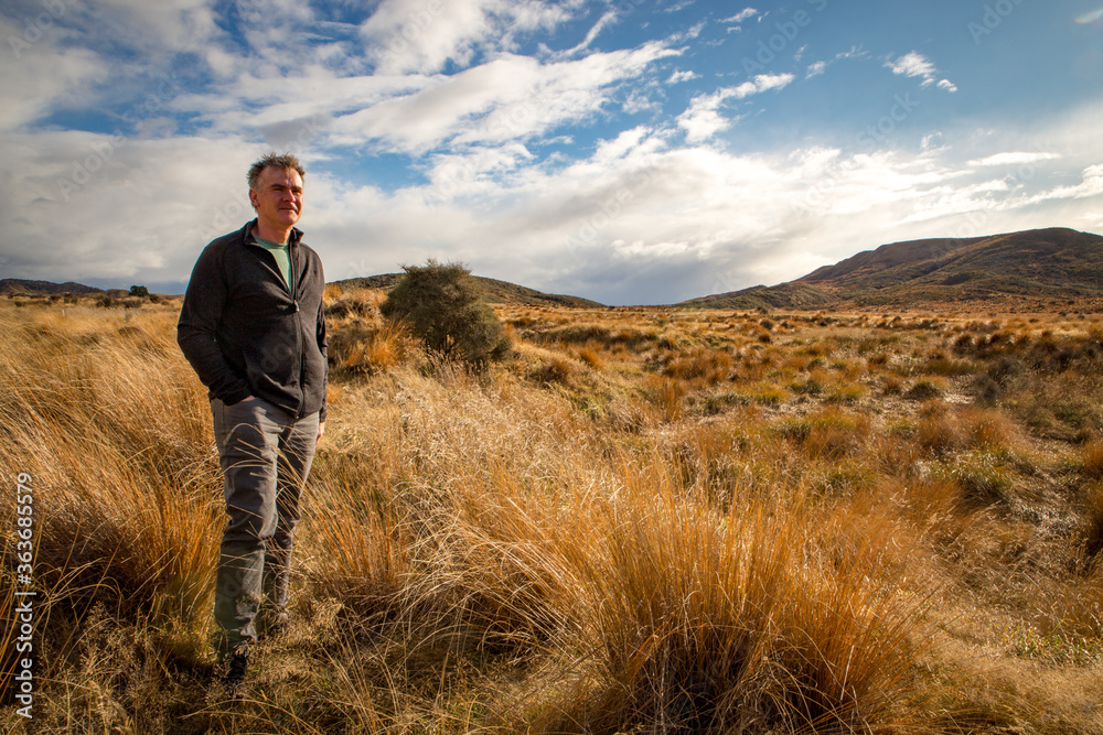 A male tourist stops on the main highway to walk in the Red Tussock Scientific Reserve and survey the landscape, Southland, New Zealand