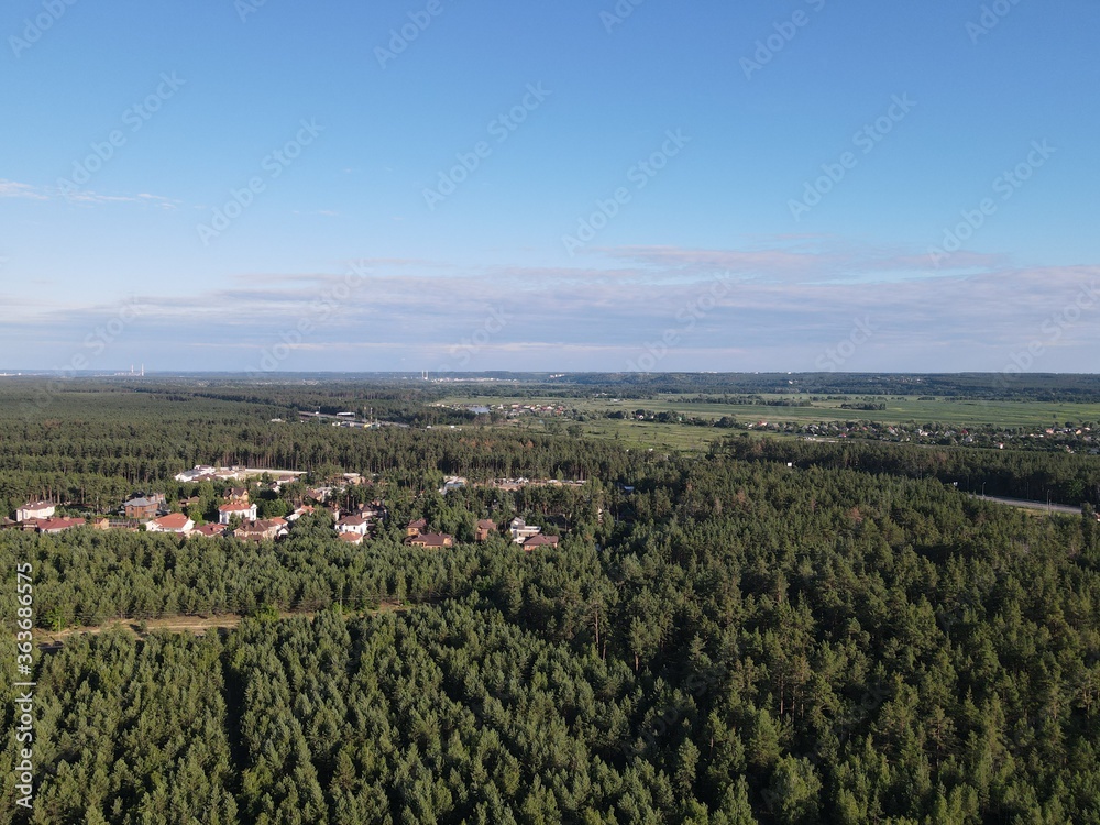 Aerial view of forest landscape and tiny houses