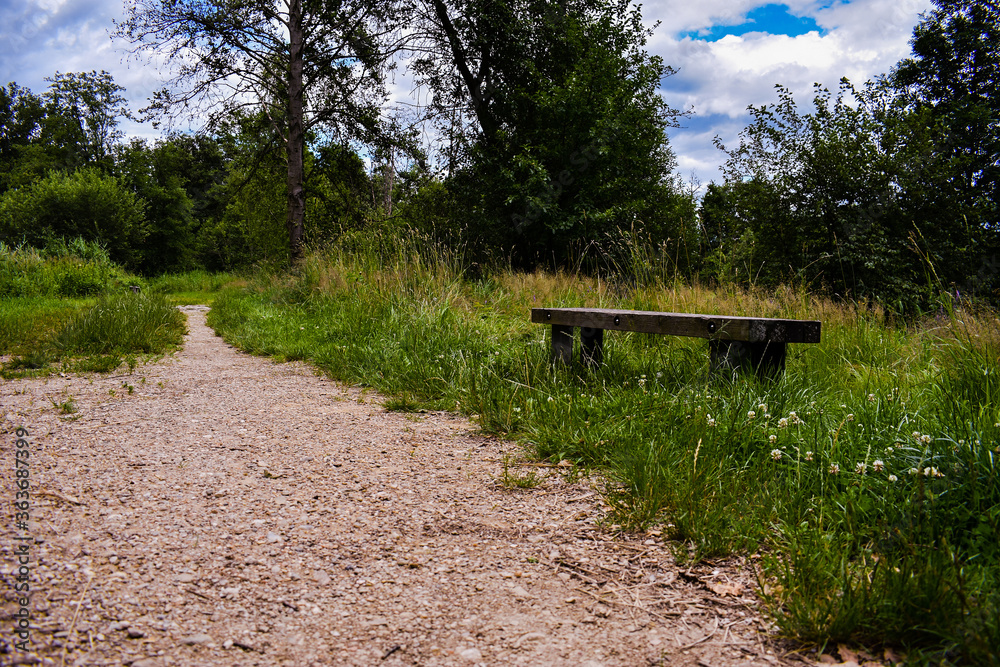 Calm place, bench in the park by road, wetlands in Jablonné v Podještědí