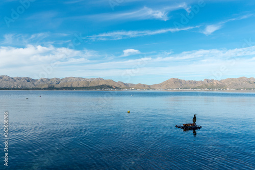 landscape of a calm sea, with mountains in the background, and a cormorant resting on a floating platform