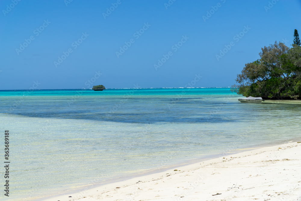 Beautiful turquoise lagoon, Pines Island, new caledonia with turquoise sea and typical araucaria trees. blue sky