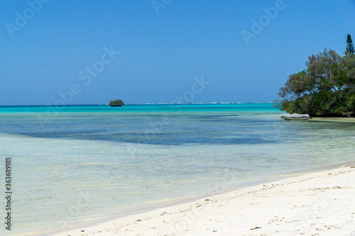 Beautiful turquoise lagoon, Pines Island, new caledonia with turquoise sea and typical araucaria trees. blue sky