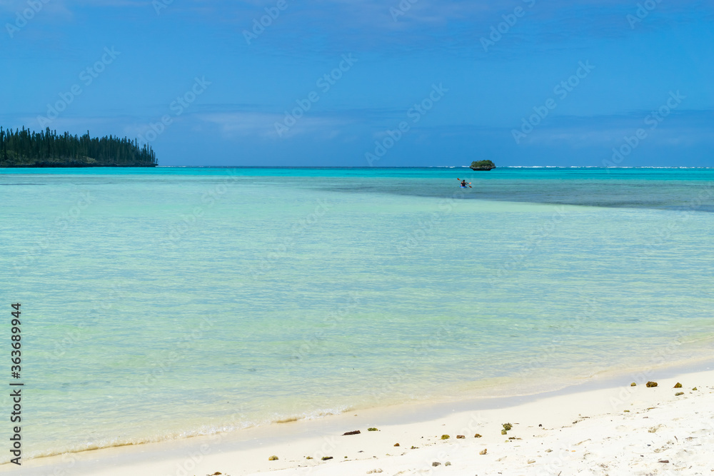 Beautiful turquoise lagoon, Pines Island, new caledonia with turquoise sea and typical araucaria trees. blue sky