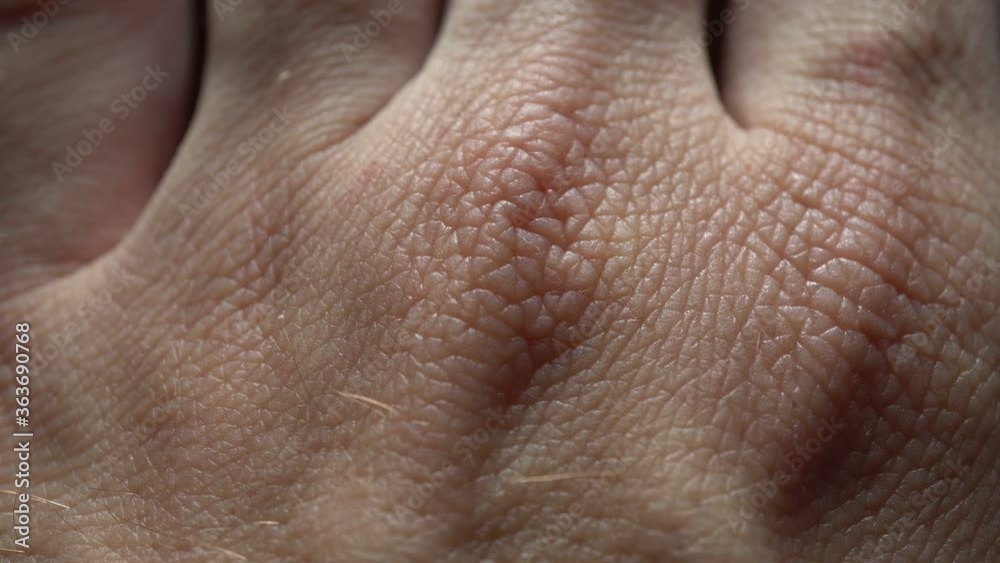 4k Macro Human Skin Background 4k Macro Human Skin Background