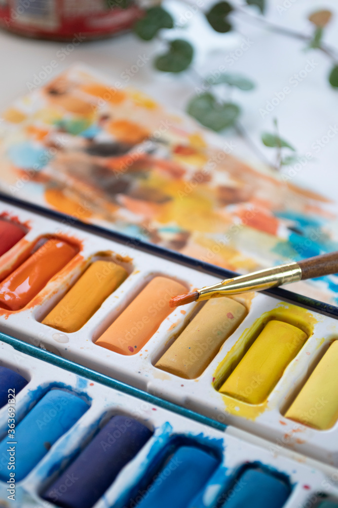 Pill watercolor Pill watercolor