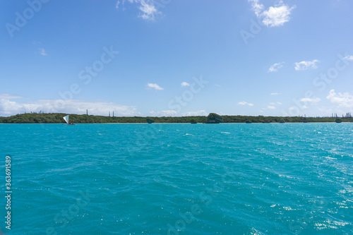 Boat trip on a traditional caledonian sailing boat in Upi bay, New Caledonia. typical rock in the turquoise sea