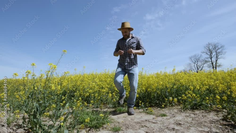 Happy Man Farmer Dancing Enjoying at Rape Blossom On Field. Fun Celebrating Funny Viral Dance Freedom. Guy Enjoying Dance. Joyful Man Farmer Dancing. Flowering Rapeseed Field Blue Sky. Happy Man Farmer Dancing Enjoying at Rape Blossom On Field. Fun Celebrating Funny Viral Dance Freedom. Guy Enjoying Dance. Joyful Man Farmer Dancing. Flowering Rapeseed Field Blue Sky.
