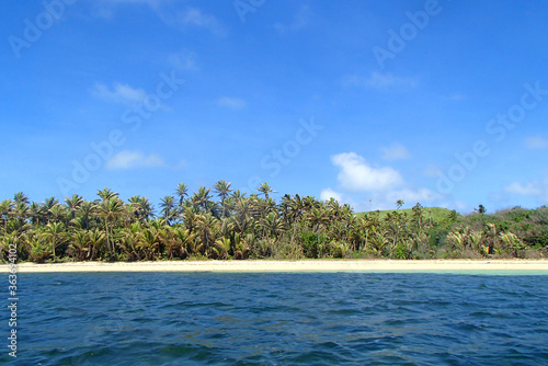 Beach with plenty of palm trees in Fiji
