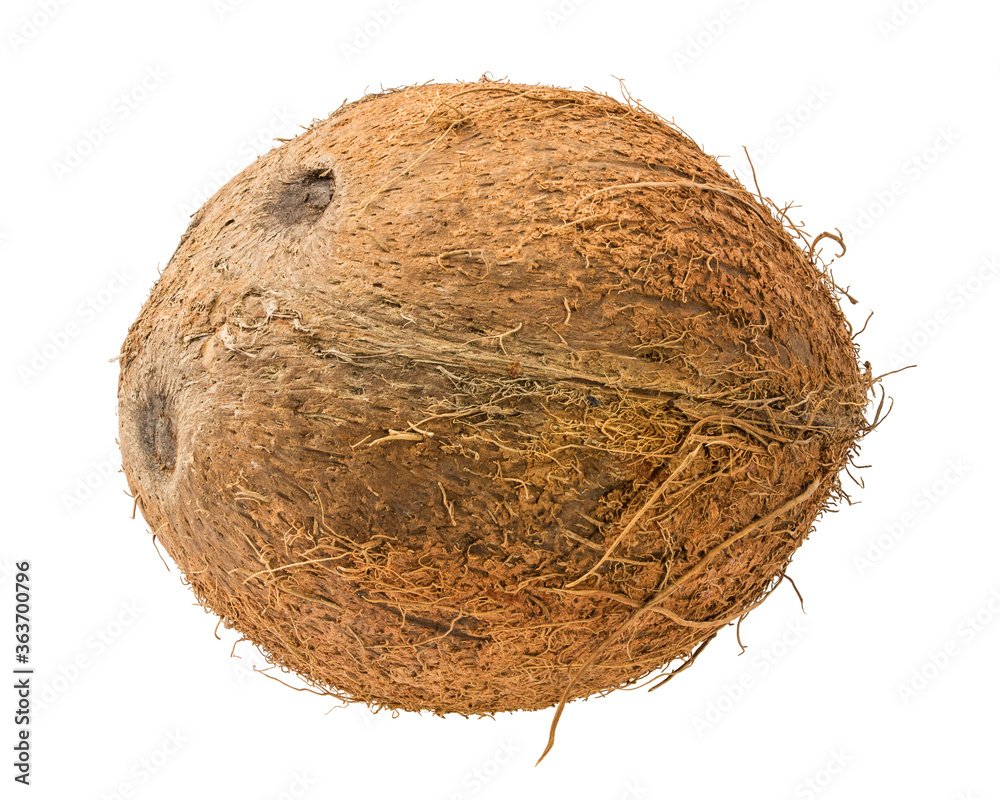 Coconut isolated on white background Coconut isolated on white background