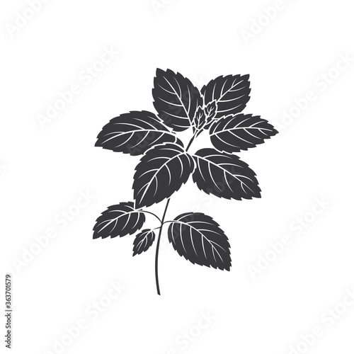 Lemon balm bunch glyph icon