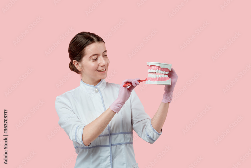 Dentist brushes artificial jaw with a toothbrush. Dentist brushes artificial jaw with a toothbrush.