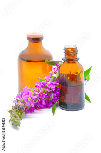 Fototapeta Naklejka Na Ścianę i Meble -  Herbal extract and essential oil from the Purple loosestrife or Lythrum salicaria plant.