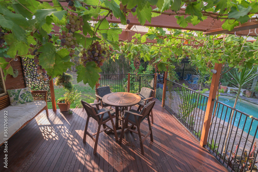 Relaxing Outdoor Living Area with grapes hanging from the rafters
