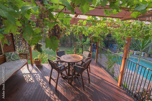 Relaxing Outdoor Living Area with grapes hanging from the rafters