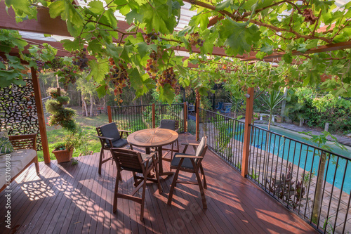 Outdoor living area with grapes hanging from the rafters and a view of the swimming pool