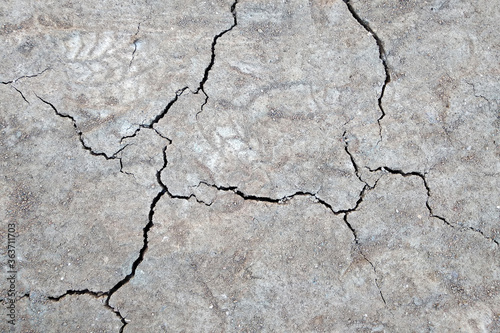 Close up of dry cracked ground surface.
