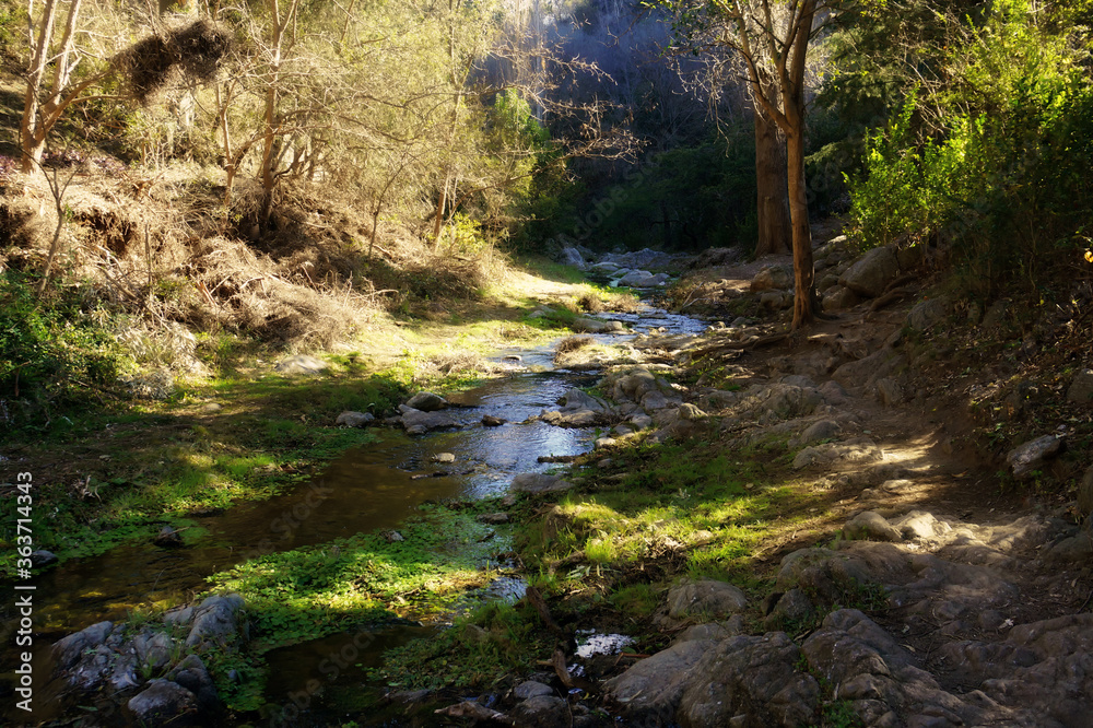 A narrow stream of crystal mountain water going through the forest. Villa General Belgrano, Cordoba, Argentina A narrow stream of crystal mountain water going through the forest. Villa General Belgrano, Cordoba, Argentina