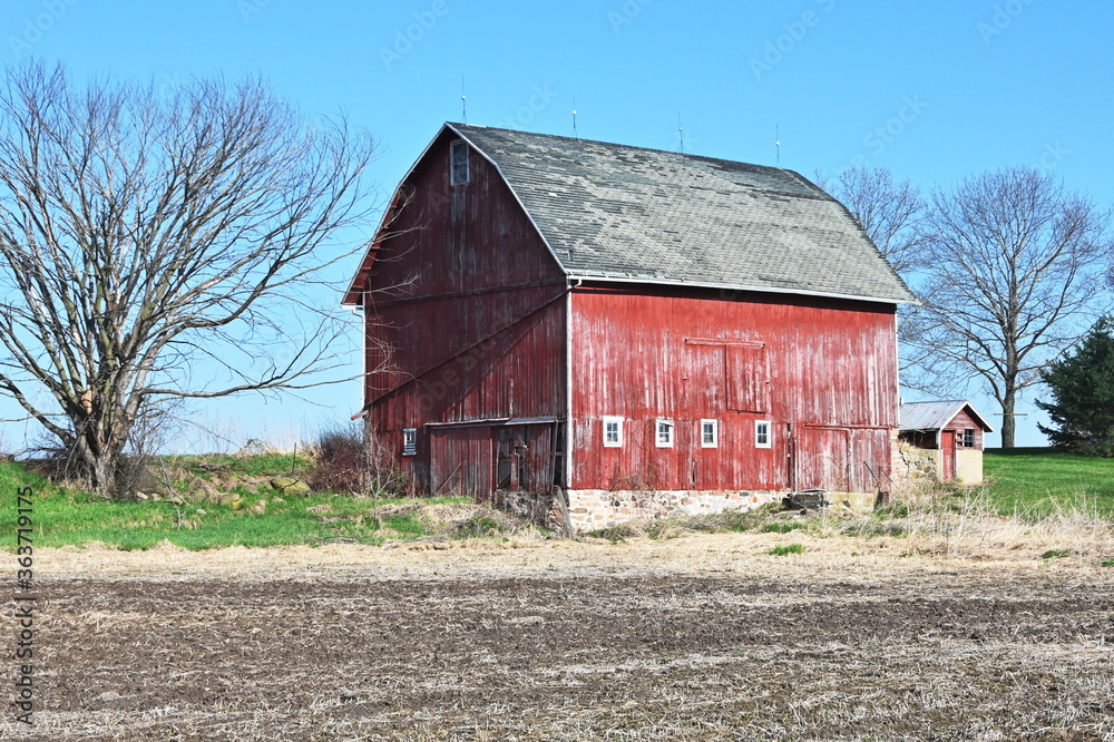 Obraz premium Old Red Barn