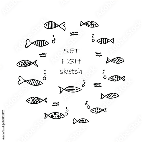 Doodle fish. Set of cartoon fish. Outline black-and-white drawing. Vector image. Elements for your design.