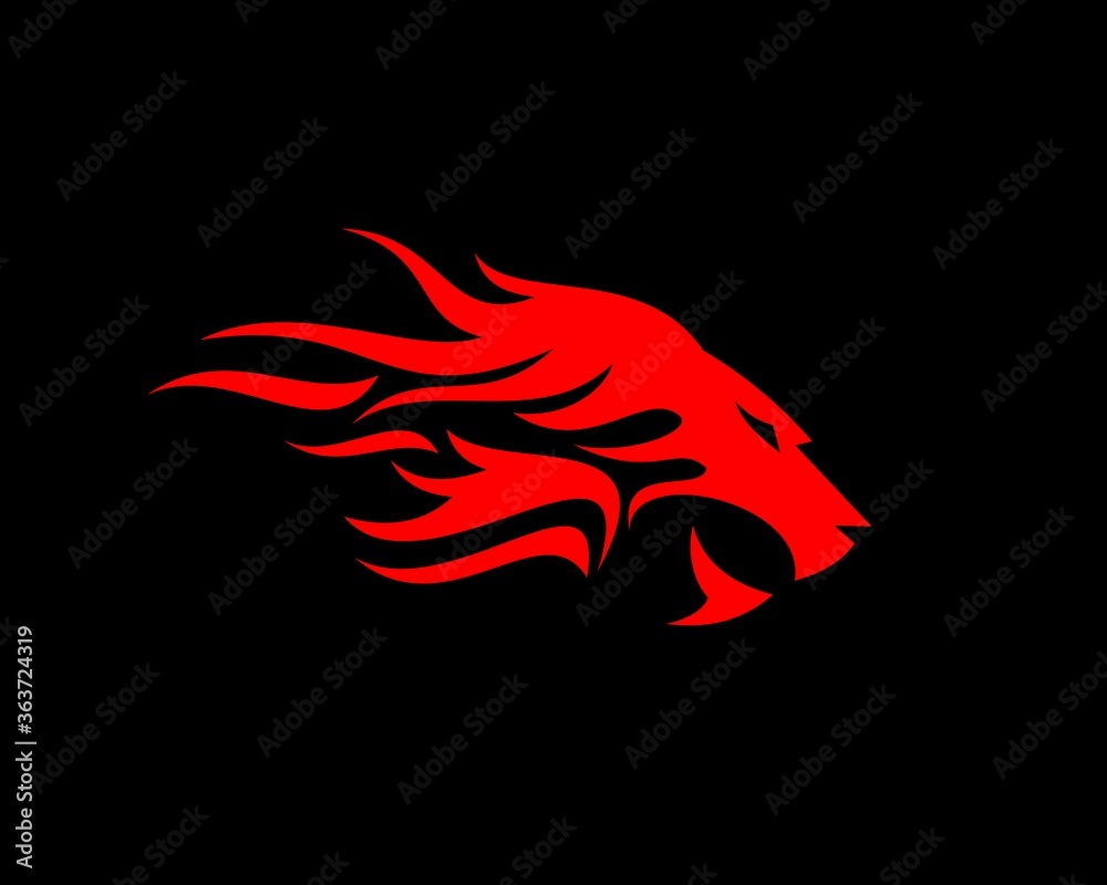 Lion head with fire flame hair Lion head with fire flame hair