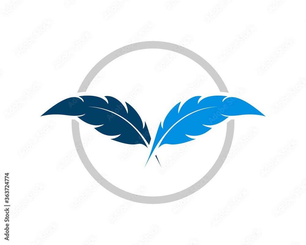 Fototapeta premium Circle shape with feather law inside