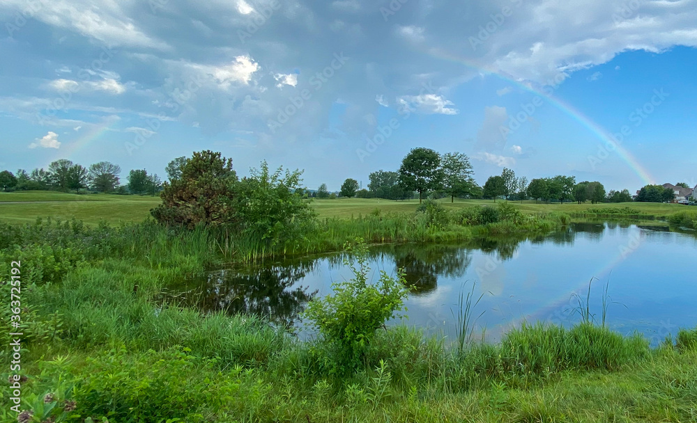 Fototapeta premium rainbow on golf course pond reflection