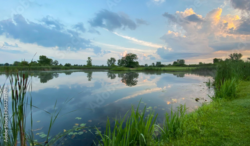 Принти на полотні golf course pond marsh lily pads big clouds reflections