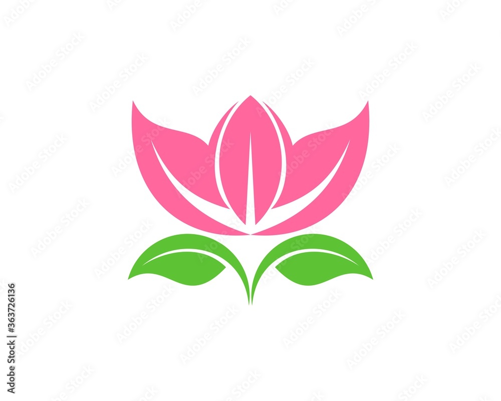Lotus with green leaf underneath Lotus with green leaf underneath