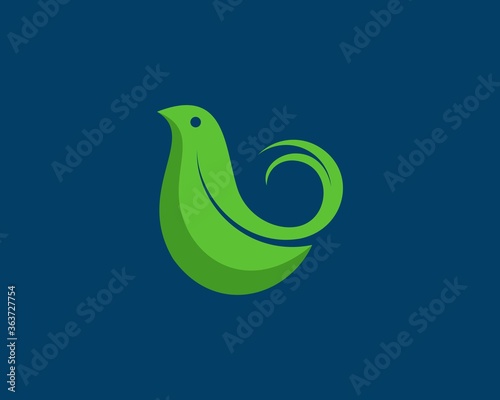 Bird from green leaf