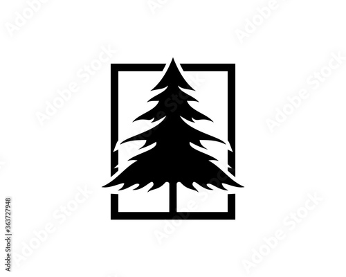 Pines spruce cedar tree in the rectangle silhouette