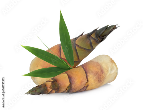 Canvastavla bamboo shoots isolated on white background