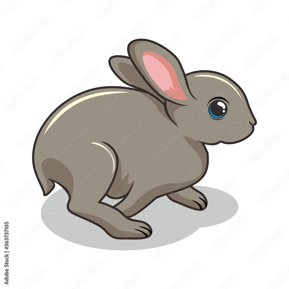 Rabbit Cartoon Bunny Illustration Isolated Rabbit Cartoon Bunny Illustration Isolated