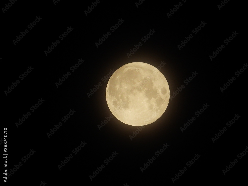 Obraz premium full moon in the night sky, full moon in the black sky