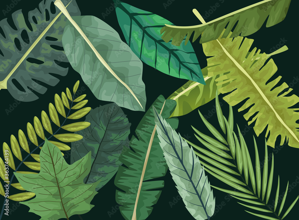 Fototapeta premium tropical leafs botanical pattern background design