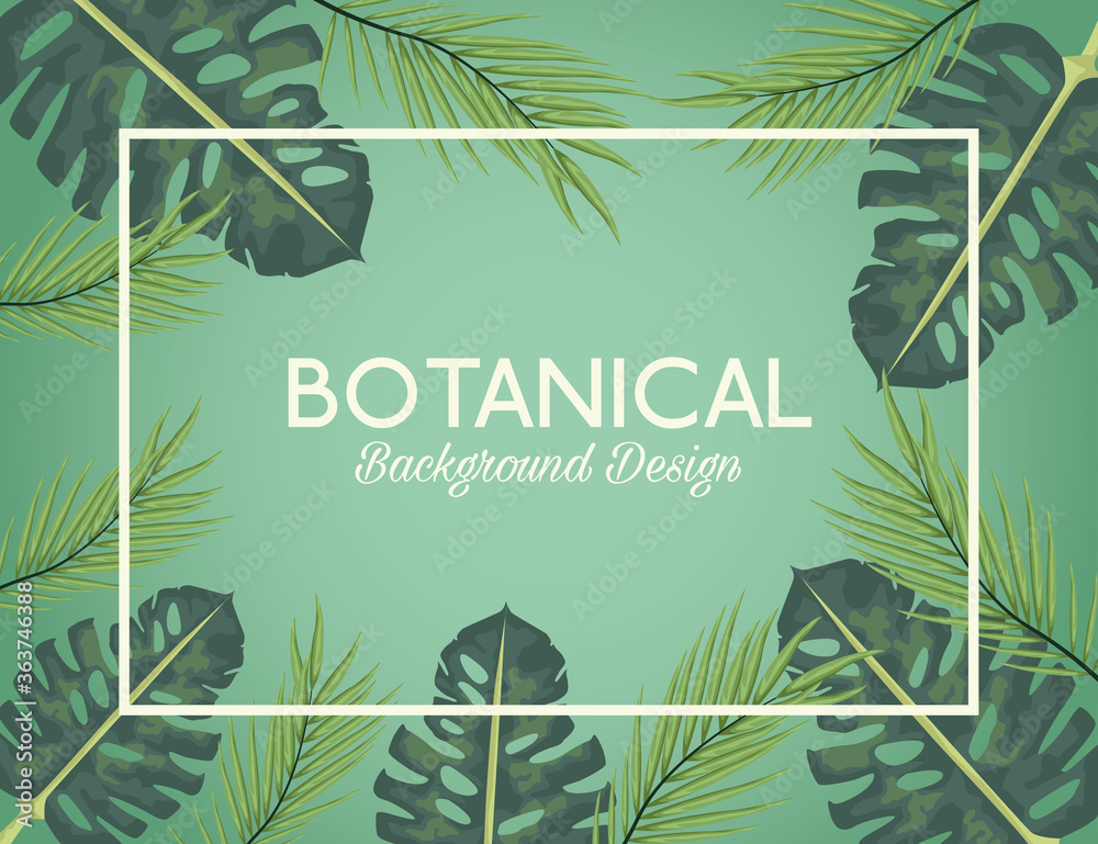 tropical leafs in square frame and lettering botanical background design