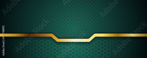 abstract luxury dark green overlap layer with golden line