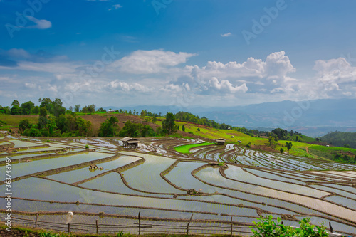 Pa Pong Piang rice terraces on the mountains © chirawan_nt